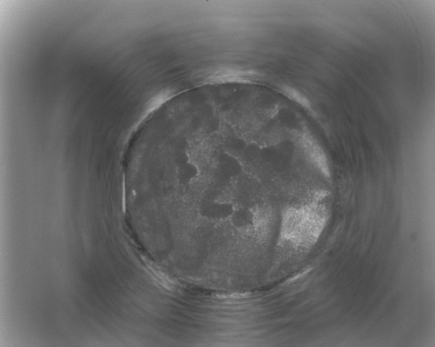 X0000063501219200602172110