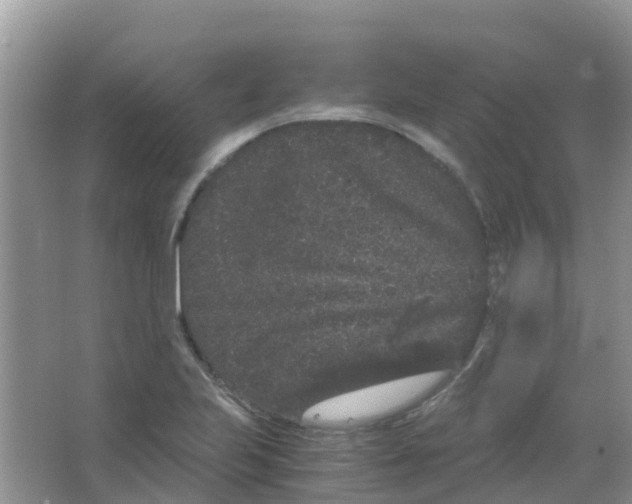 X0000063501223200602172110