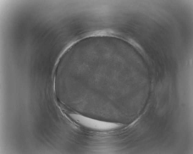 X0000063501224200602172110