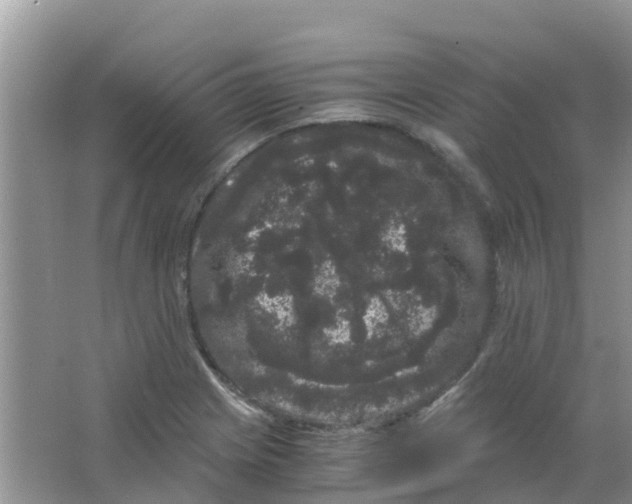 X0000063501225200602172110