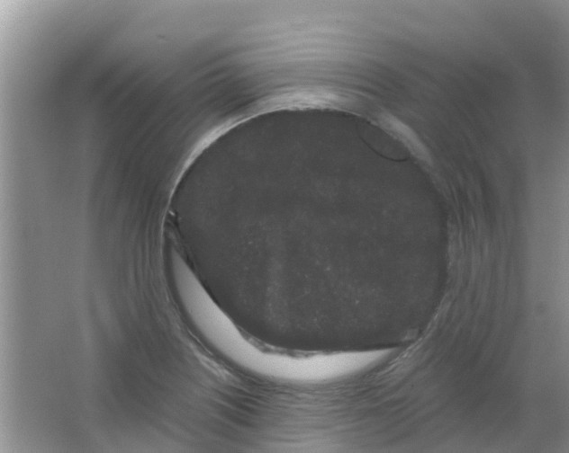 X0000063501226200602172110