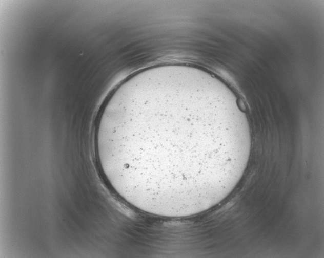 X0000063501227200602172110