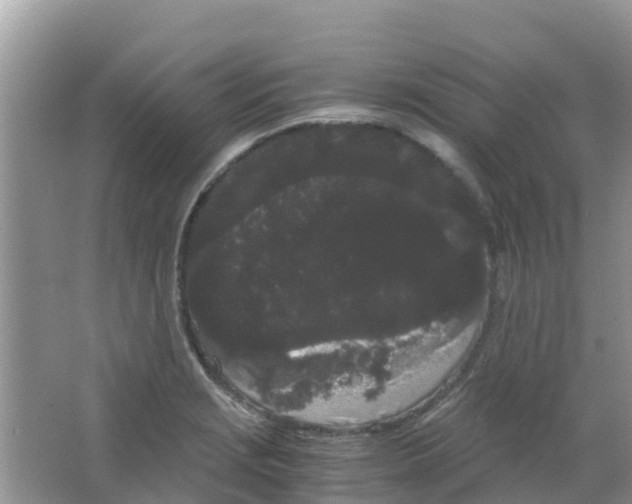 X0000063501229200602172110