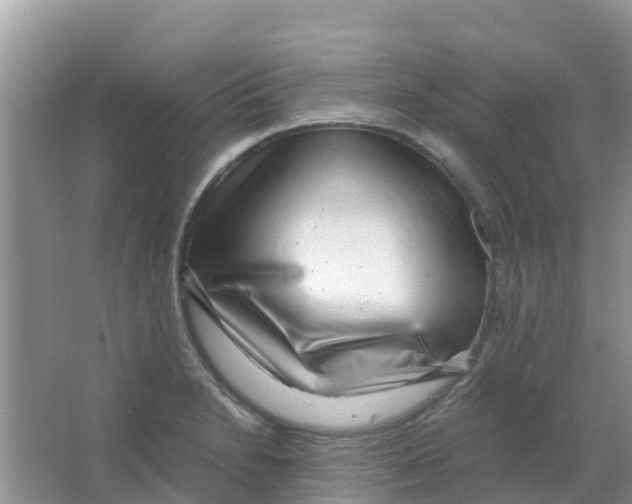 X0000063501230200602172110