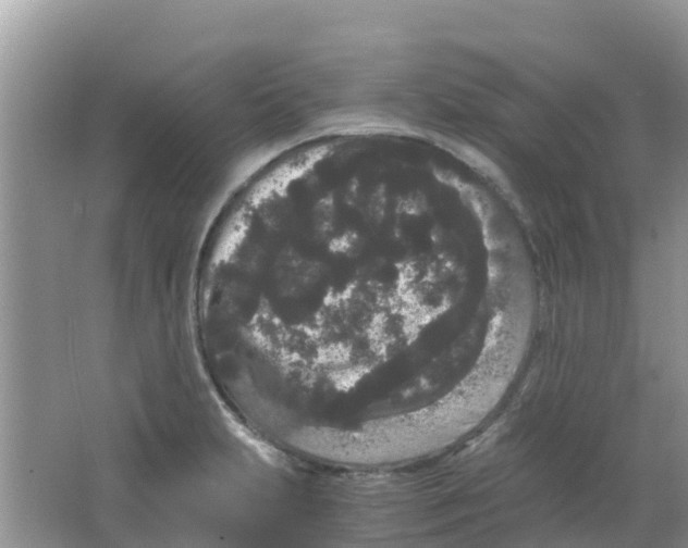 X0000063501231200602172110