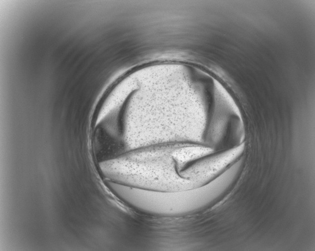 X0000063501232200602172110