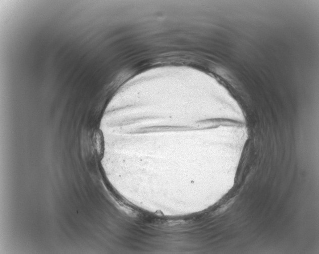 X0000063501233200602172110