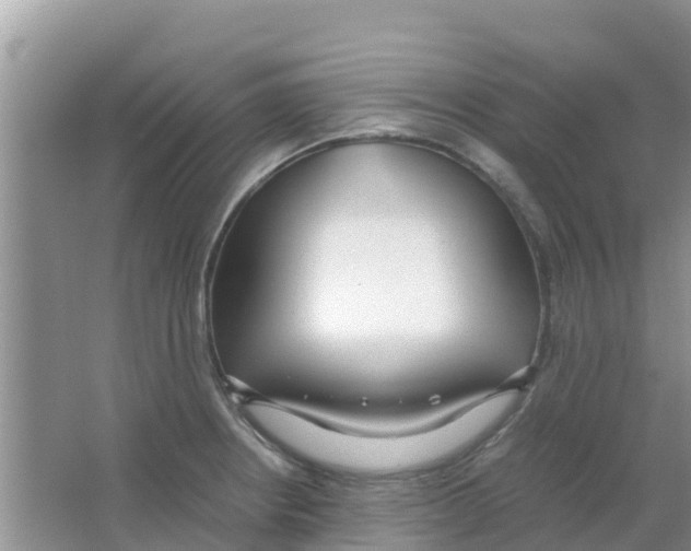 X0000063501234200602172110