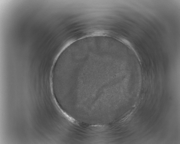 X0000063501235200602172110