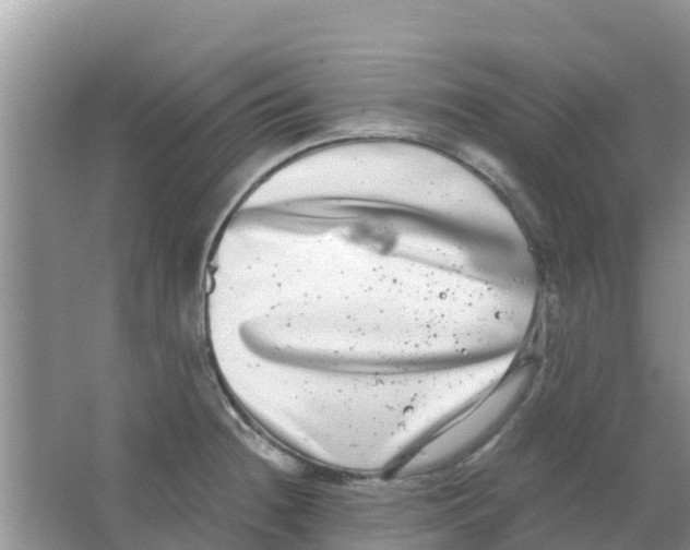 X0000063501236200602172110