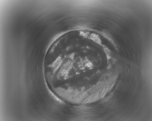 X0000063501239200602172110