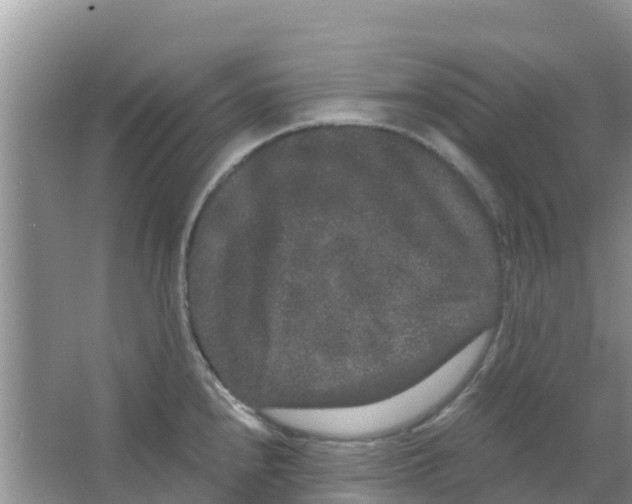 X0000063501240200602172110