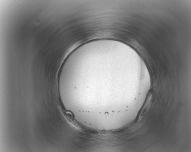 X0000063501242200602172110