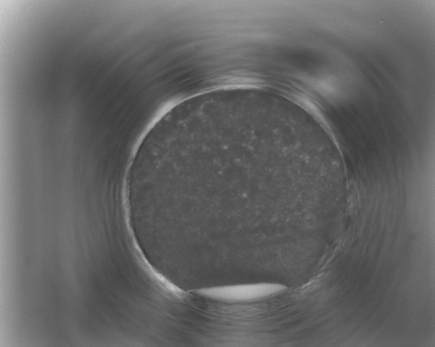 X0000063501243200602172110