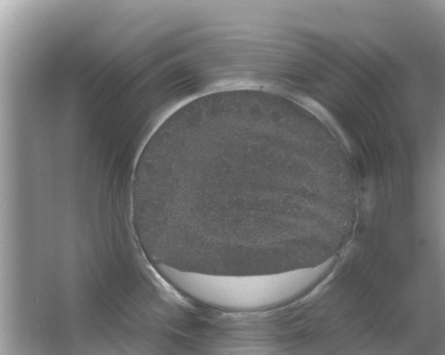 X0000063501244200602172110