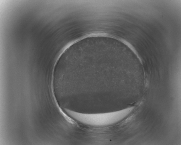 X0000063501245200602172110