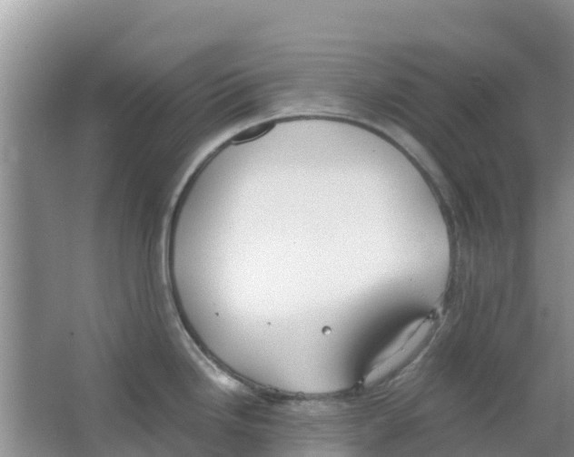 X0000063501246200602172110