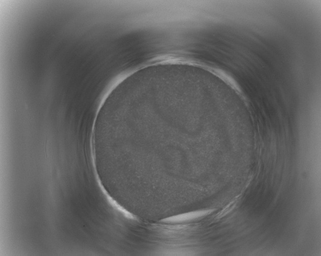 X0000063501247200602172110