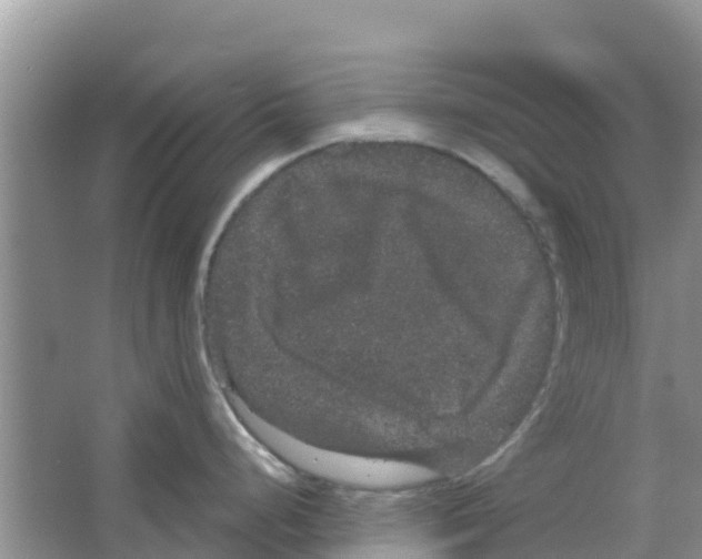 X0000063501248200602172110