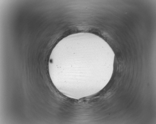 X0000063501249200602172109