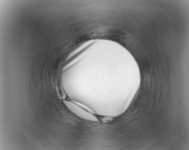 X0000063501250200602172109