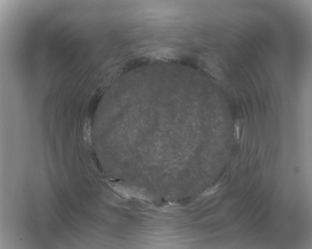 X0000063501251200602172109