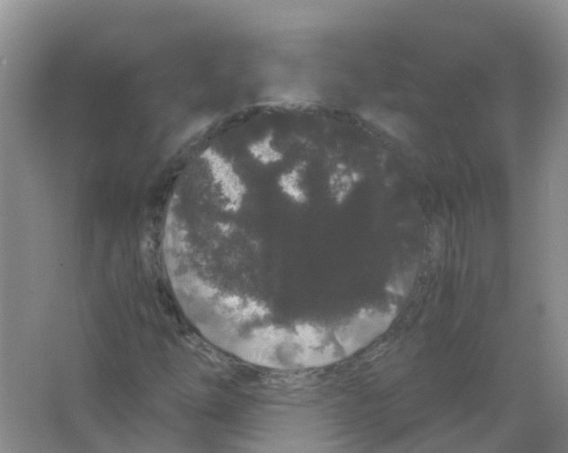 X0000063501254200602172109