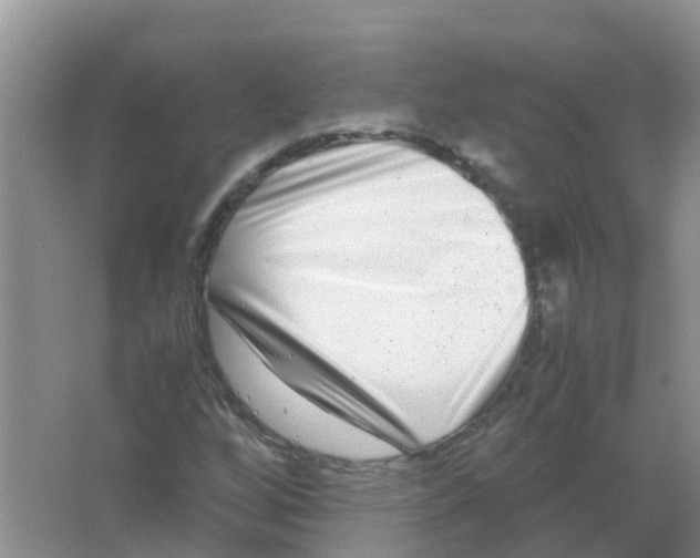 X0000063501256200602172109