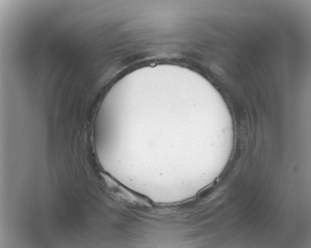 X0000063501257200602172109