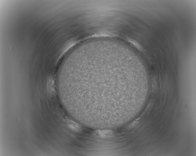 X0000063501258200602172109