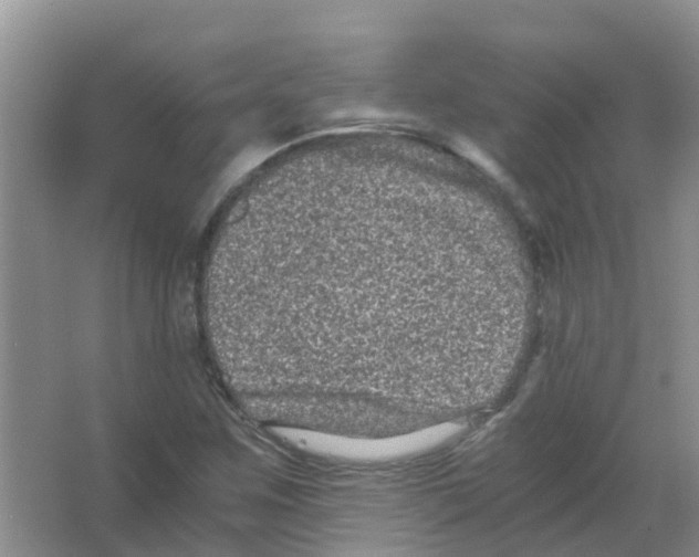 X0000063501259200602172109