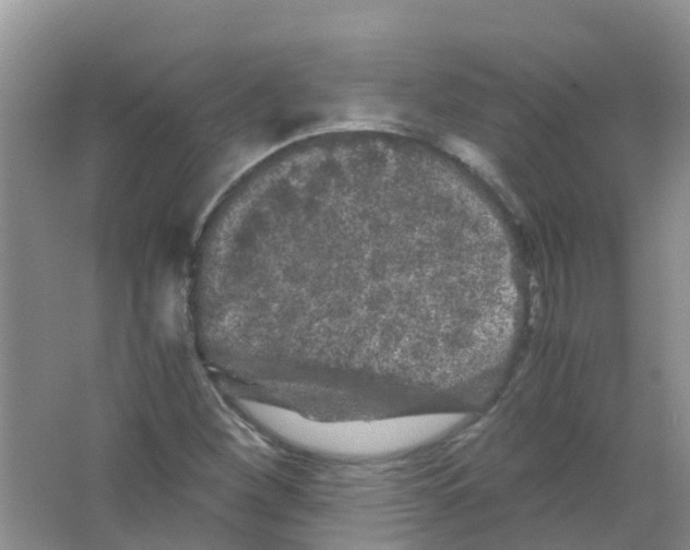 X0000063501260200602172109