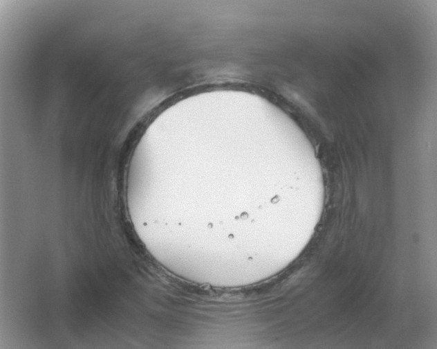 X0000063501261200602172109