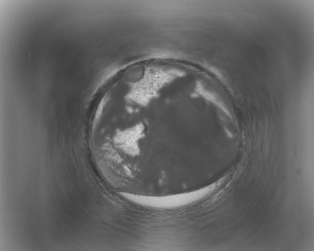 X0000063501263200602172109