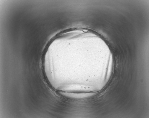 X0000063501264200602172109