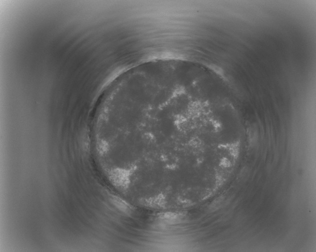 X0000063501266200602172109