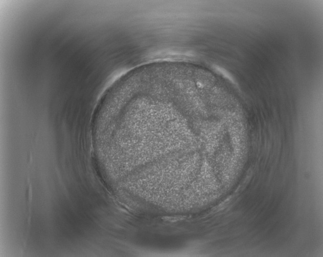 X0000063501267200602172109