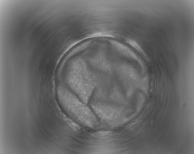 X0000063501268200602172109