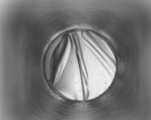 X0000063501272200602172109