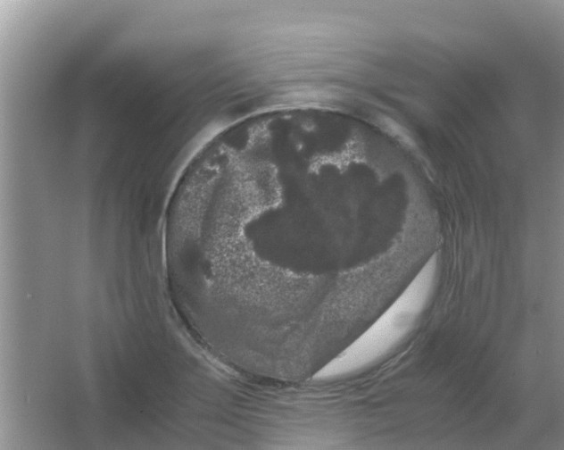 X0000063501275200602172109