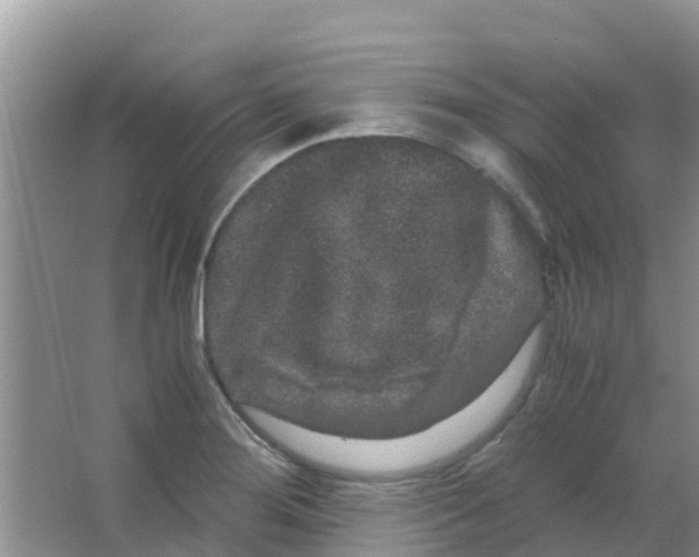 X0000063501276200602172109