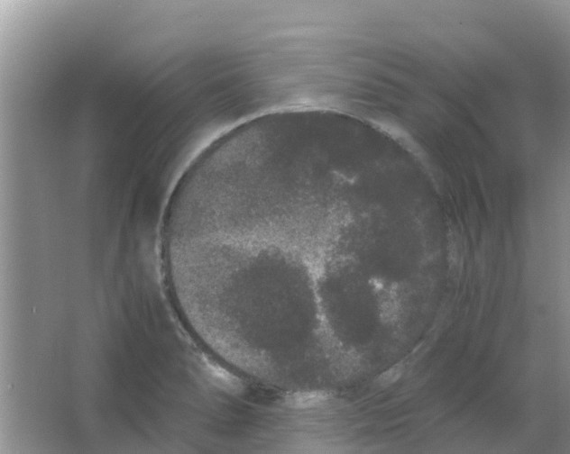 X0000063501278200602172109