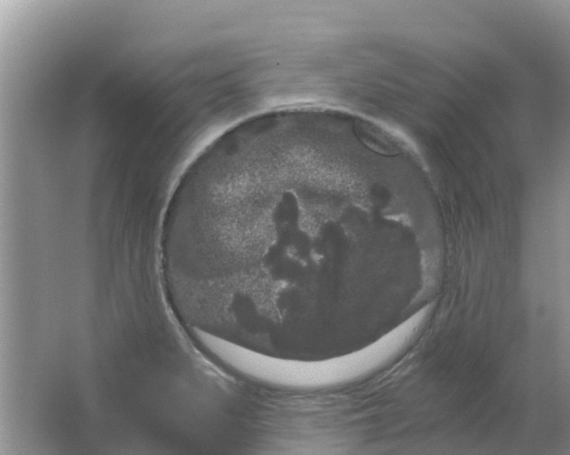 X0000063501279200602172109