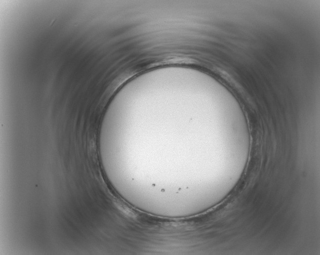 X0000063501281200602172109