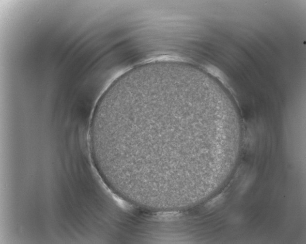 X0000063501282200602172109