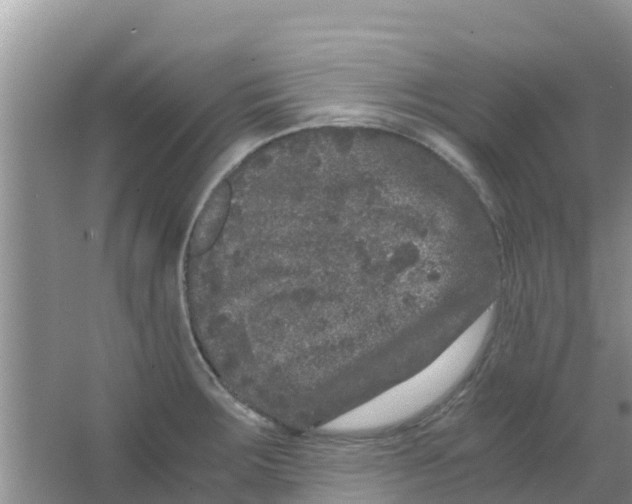 X0000063501283200602172109