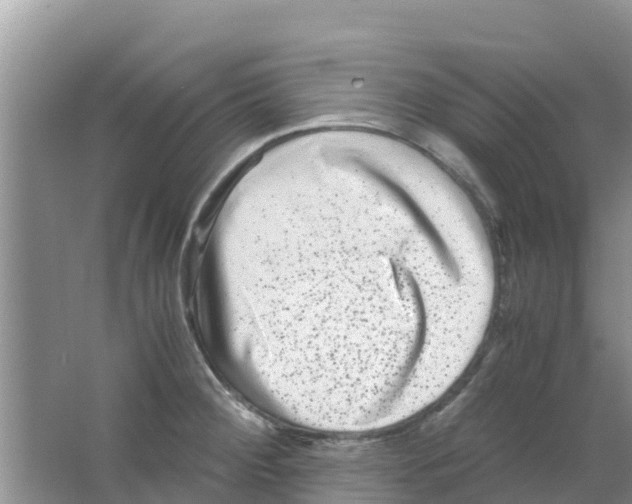 X0000063501284200602172109