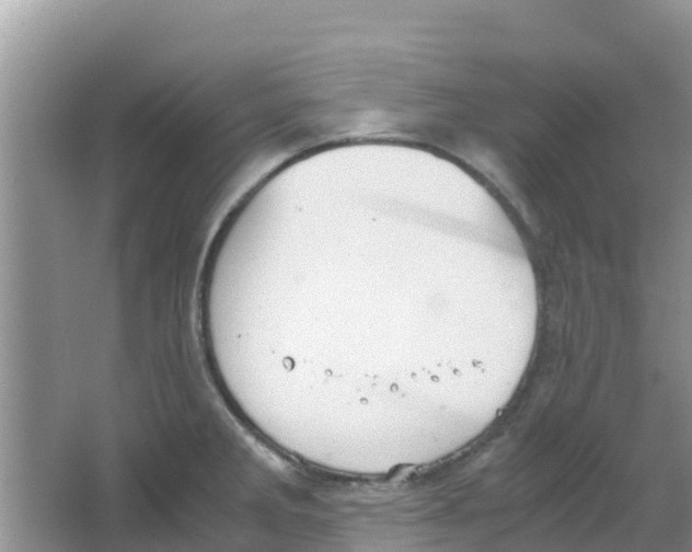 X0000063501285200602172109