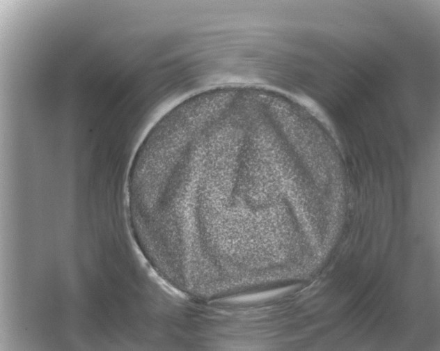 X0000063501287200602172109