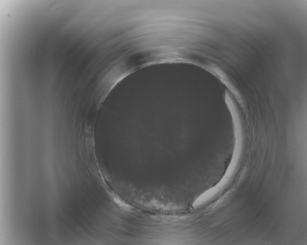 X0000063501289200602172109